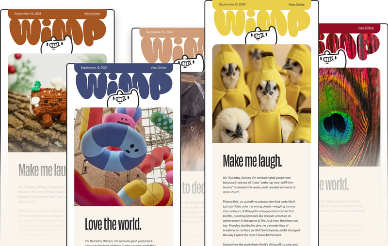 Newsletter – Wimp Decaf Coffee Co